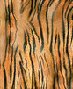 QT Piel de leopardo/tigre. FQ 50x55cm.