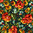 BURDEAUX. Multicolour flower in dark.