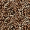 DEEP SKIN. Animal print cheetah.