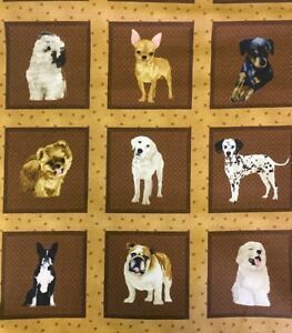 MY PET FAMILY.  Pannello di cani. 66 stampe di 8.5x8.5cm. 60x110cm.